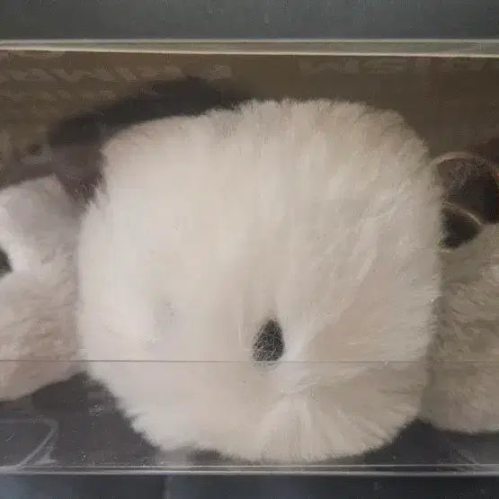[BUNJANG] Primrose Plush Charm / 프림로즈 키링 양도