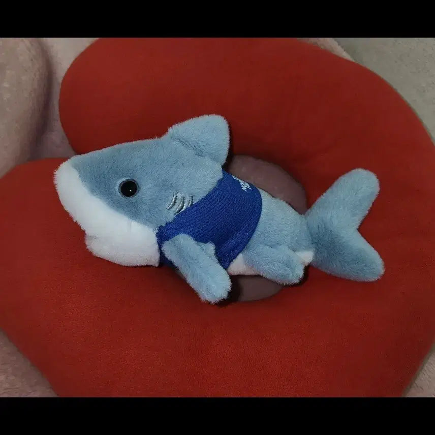 [BUNJANG] The North Face Baby Shark Doo Doo Doo Plush Keychain / 노스페이스  애기상어 뚜루
