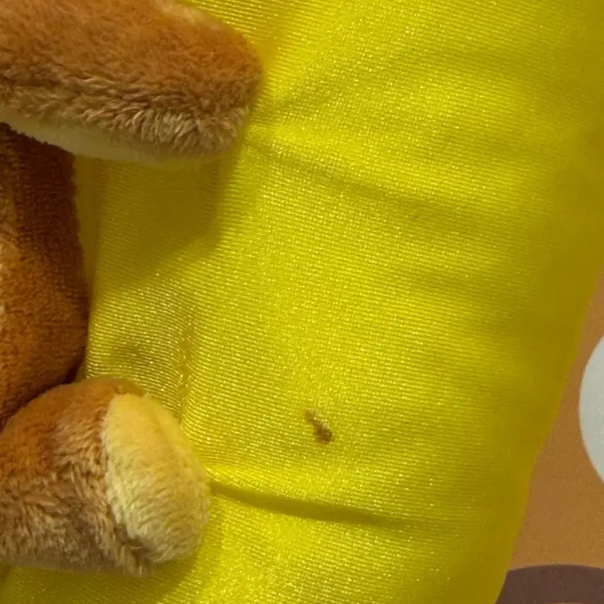 [BUNJANG] Rilakkuma Pillow Hugging Plush Doll / 리락쿠마 베개 안은 인형