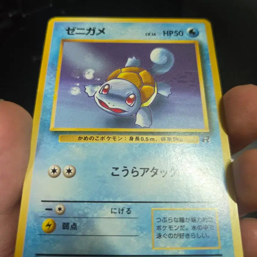 [BUNJANG] Vintage Team Rocket Wartortle Japanese Card / 구판 로켓단 꼬부기 일판