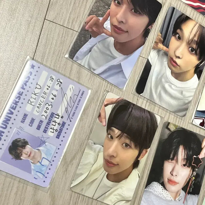 [BUNJANG] NCT WISH Riku Photocard + Exhibition POB Bundle Set / 엔시티 위시 리쿠 포카 + 전시회 특전 일괄