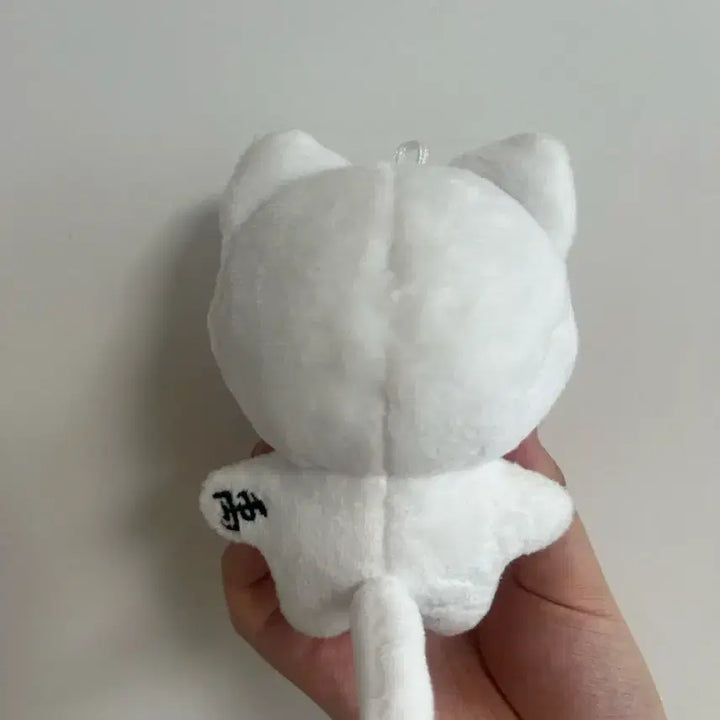 [BUNJANG] ZICO Konyangi Doll / 지코 인형 코냥이
