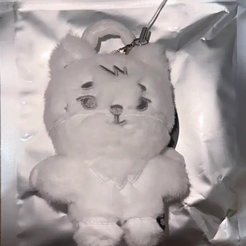 [BUNJANG] DAY6 Young K Petit Merz Secret Keyring / 데이식스 영케이 시크릿 키링 쁘띠멀즈 케 / 영케이 솔콘 youngk
