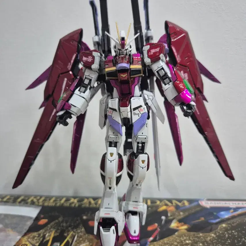 [BUNJANG] RG Destiny Impulse Overcoating Painted Model / RG 데스티니 임펄스 오버코팅 도색작