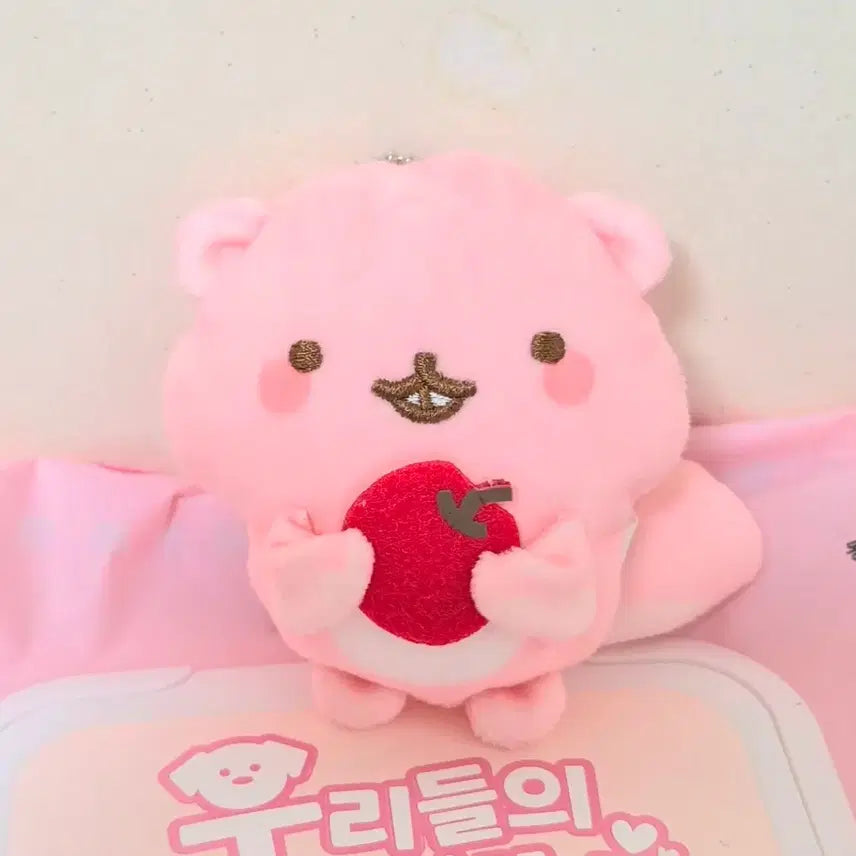 [BUNJANG] Vintage Flattened Squirrel Charm with Cherry/Apple Accessory / 고전 빈티지 핑크 분홍 다람쥐 체리 사과 열매 납작 인형 키링