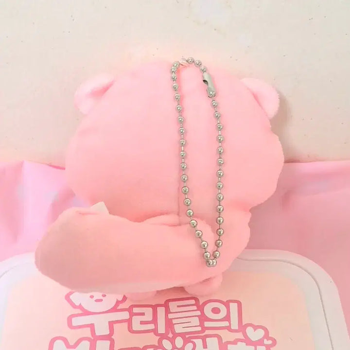 [BUNJANG] Vintage Flattened Squirrel Charm with Cherry/Apple Accessory / 고전 빈티지 핑크 분홍 다람쥐 체리 사과 납작 인형 키링