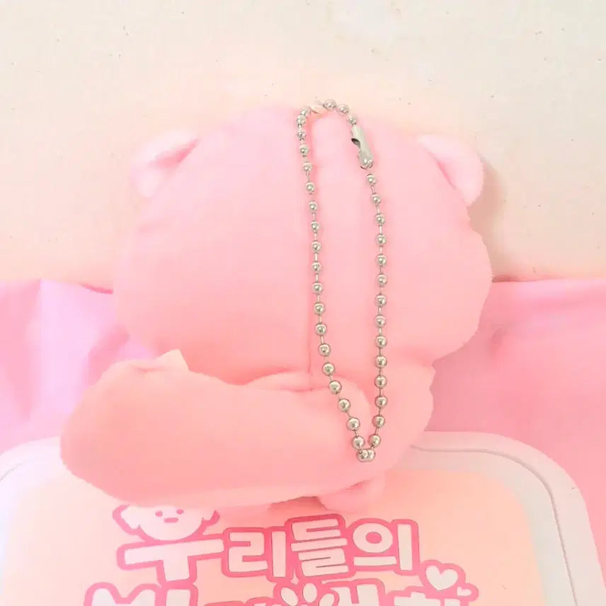 [BUNJANG] Vintage Flattened Squirrel Charm with Cherry/Apple Accessory / 고전 빈티지 핑크 분홍 다람쥐 체리 사과 열매 납작 인형 키링