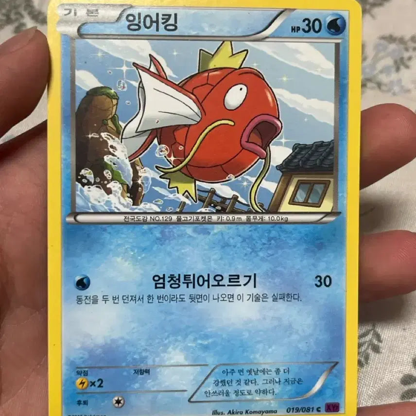 [BUNJANG] Magikarp Common Card / 잉어킹 일반 카드
