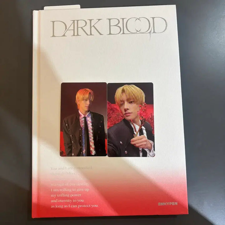 [BUNJANG] ENHYPEN Dark Blood New Ver. Jake Photocard / 엔하이픈 다크 블러드 뉴버전 앨범 제이크 포카 양도