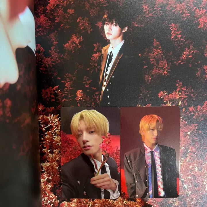 [BUNJANG] ENHYPEN Dark Blood New Ver. Jake Photocard / 엔하이픈 다크 블러드 뉴버전 앨범 제이크 포카 양도