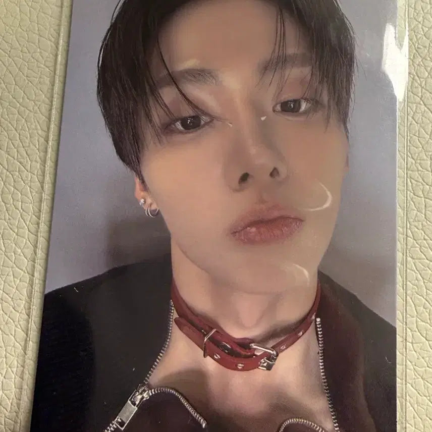 [BUNJANG] Aldiwon Lee Sangwon Vocals Exhibition Photocard / 급처) 알디원 이상원 보플 전시회 포카