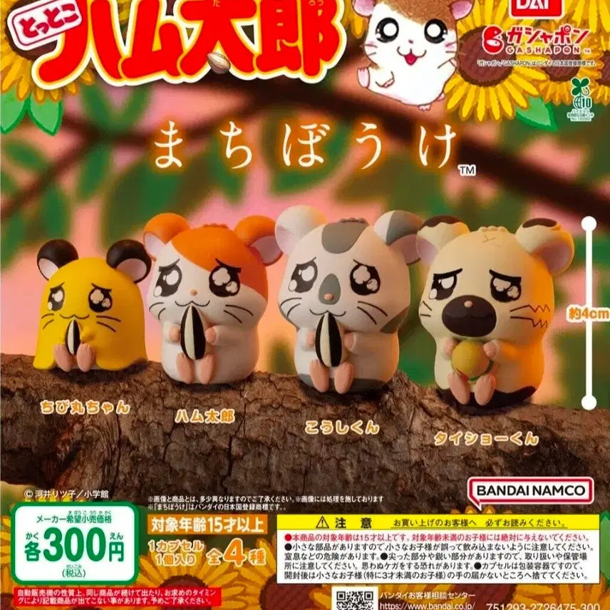 [BUNJANG] Hamtaro Machi Bow Collection Gachapon / 방가방가햄토리 마치보우케 가챠