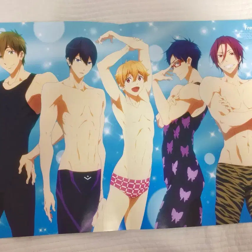 [BUNJANG] Free! Poster / 프리! Free! 포스터