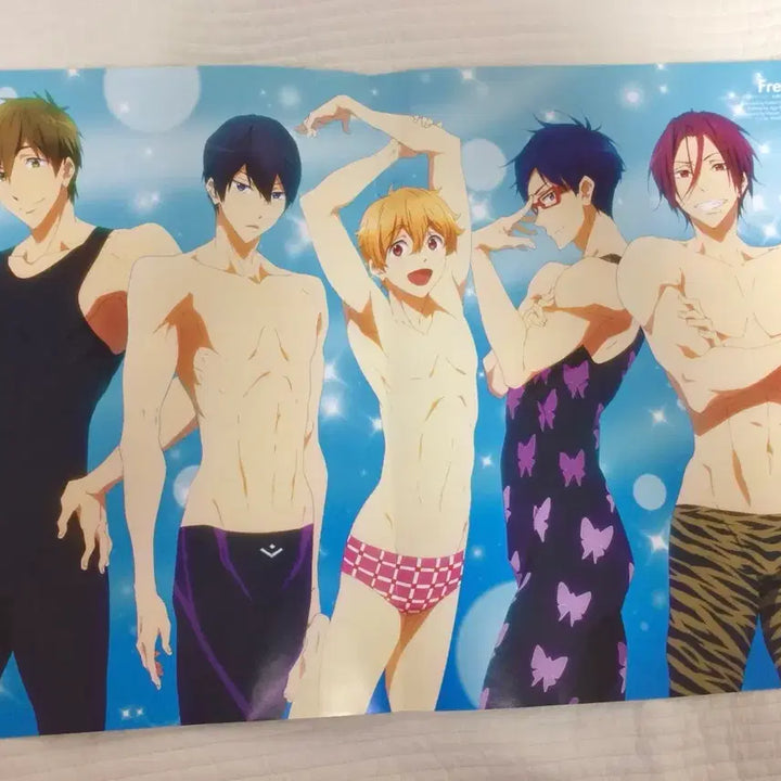 [BUNJANG] Free! Poster / 프리! Free! 포스터
