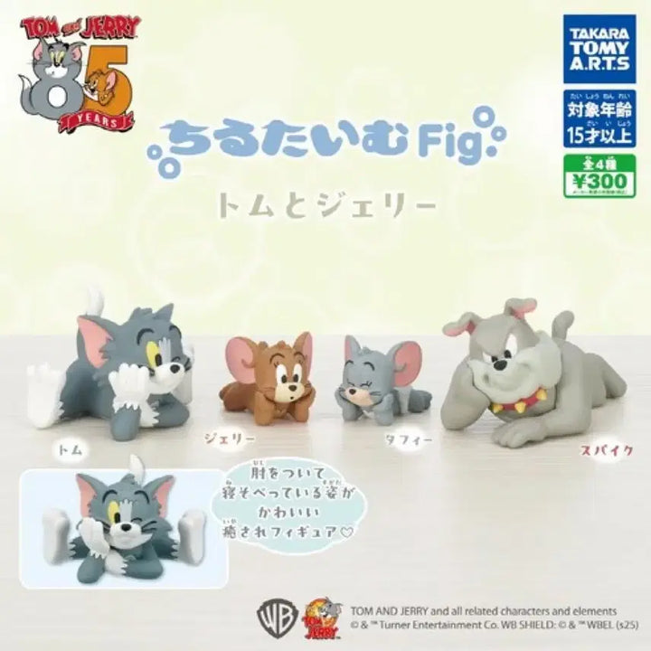 [BUNJANG] Tom and Jerry Chilling Time Gacha Figure Set (4 Types) / (풀세트) 톰과제리 칠링타임 피규어 가챠 4종 일괄