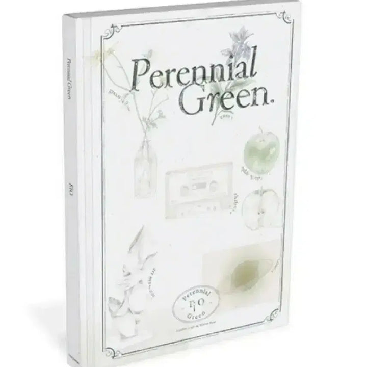 [BUNJANG] RIO Perennial Green Album (Sealed) / 리오 RIO 앨범  Perennial Green  (미개봉CD)