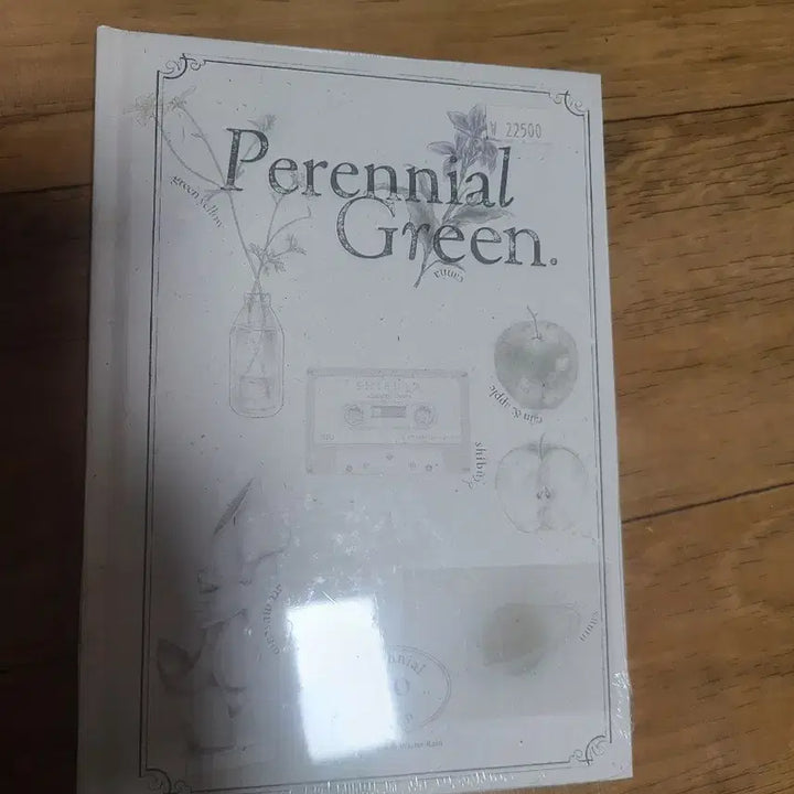 [BUNJANG] RIO Perennial Green Album (Sealed) / 리오 RIO 앨범  Perennial Green  (미개봉CD)
