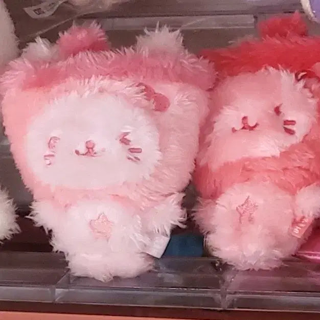 [BUNJANG] NCT WISH Sicheng Color Doll Bubble Cat Red / 엔시티위시 위부부 컬러돌 유우시 버블냥 레드
