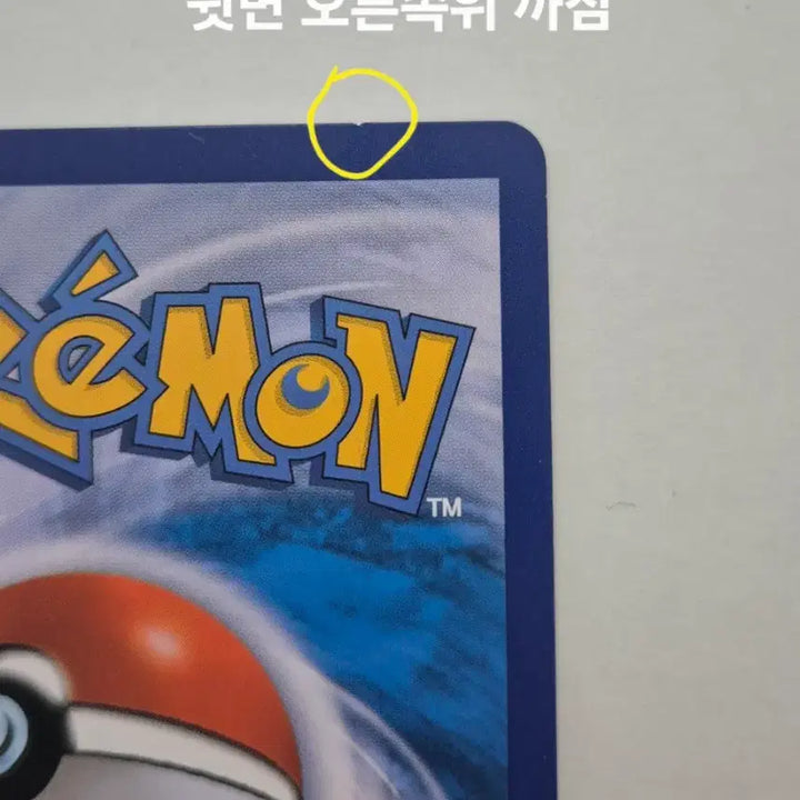 [BUNJANG] Pokemon Card Kook Hwa Trainer SR 080/070 / [포켓몬카드 한판] 국화 트레이너 SR 080/070