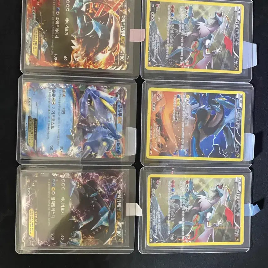 [BUNJANG] Pokemon Ancient Kyurem Card Bundle Set (EX Card, Full Art) / 포켓몬카드 고대 큐레무 세트 일괄(ex카드, 환상전설 풀일러)