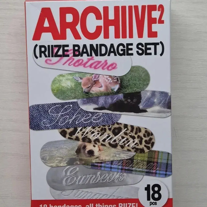[BUNJANG] RIIZE Band / 라이즈 밴드