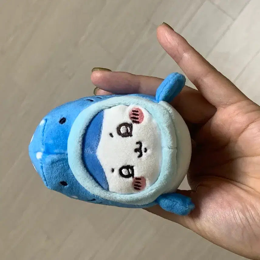 [BUNJANG] Whale Shark Hachi Plush Toy / 고래상어 하치