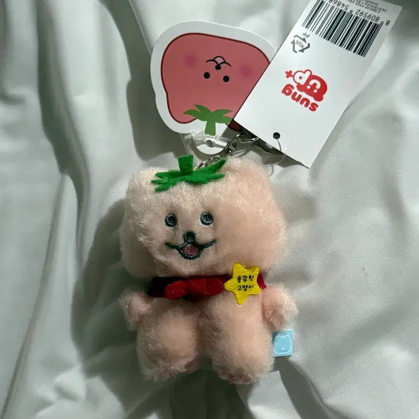 [BUNJANG] Brave Cat (Tomato) Keyring Plush / 용감한 고양이(토마토) 키링인형