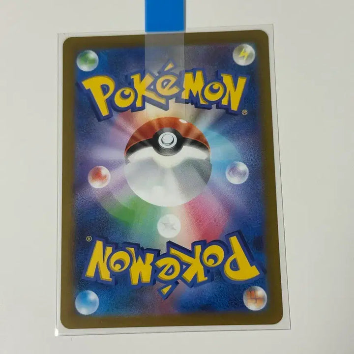 [BUNJANG] Pokemon Card Trainer Fina SR / (일판)포켓몬카드 트레이너 피나 sr