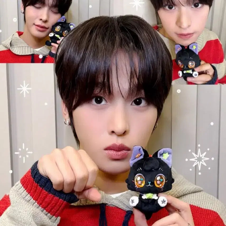 [BUNJANG] NCT WISH Wish Cat Plush Keychain Set / NCTWISH 위시캣 플러시키링 6종 세트