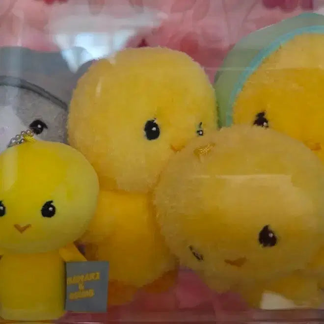 [BUNJANG] SHINee Taemin Tamari 10cm &amp; 15cm Dolls Bundle Set / 샤이니 태민 탬아리(10cm, 15cm)인형 외 일괄