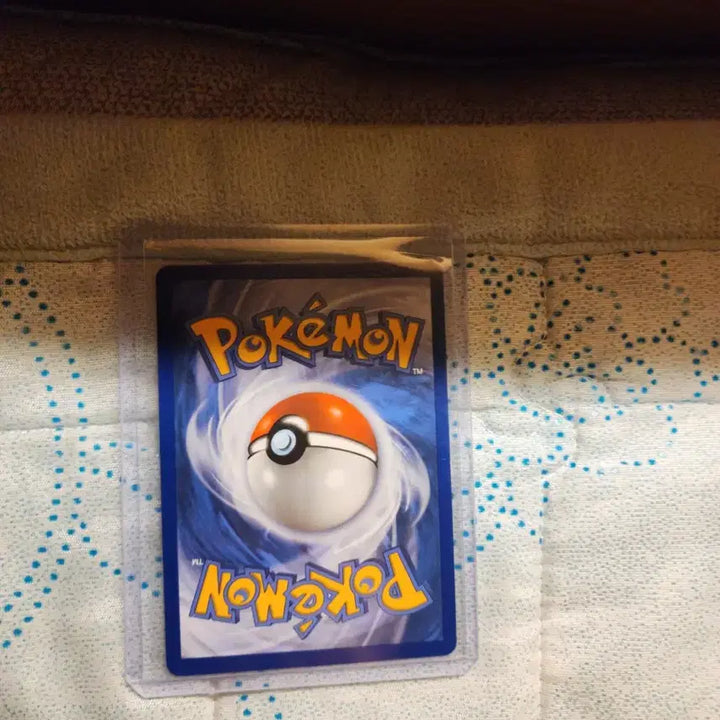 [BUNJANG] Pokemon Card Yuuri / 포켓몬카드 요테리