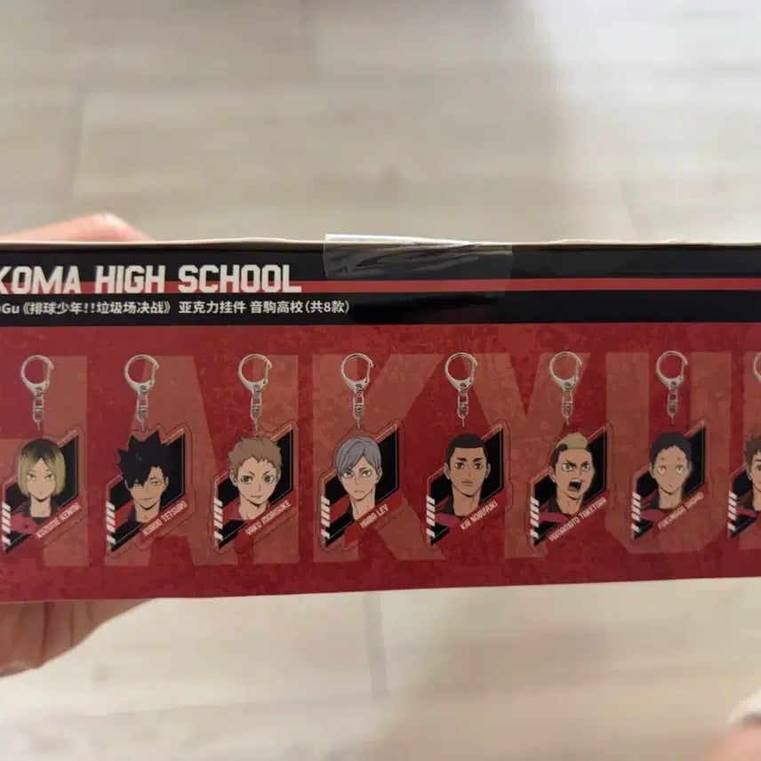 [BUNJANG] Haikyuu!! The Dumpster Battle Acrylic Keyring Box (Sealed) / [미개봉] 하이큐 쓰레기장의 결전 아크릴 키링 박스
