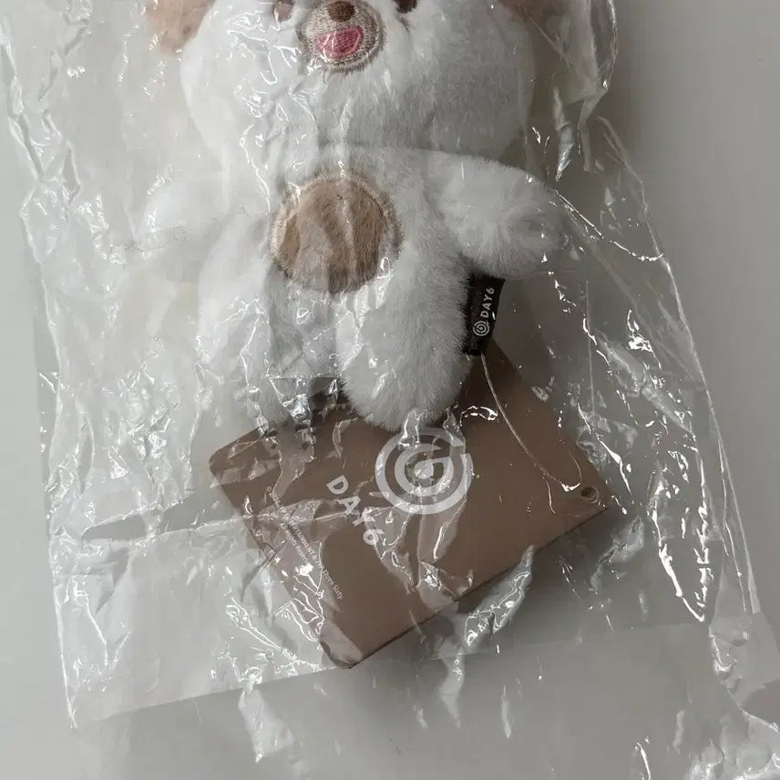 [BUNJANG] Day6 Pretty Merch Don Plush Doll / 데이식스 쁘띠멀즈 돈