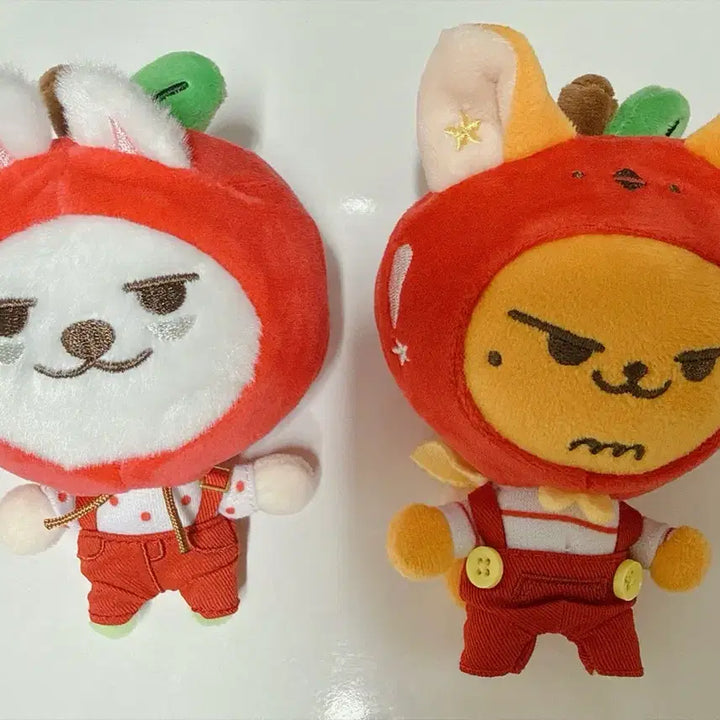[BUNJANG] Apple Beat Choi Yong-mang &amp; Hwang Chun Bundle Set / 애뿔바투 최용멍&amp;황춘 일괄판매