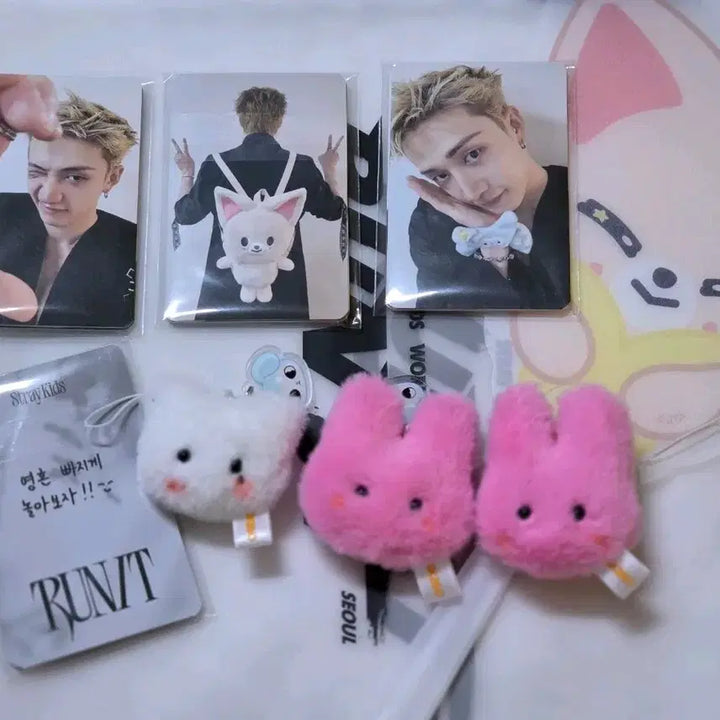 [BUNJANG] Stray Kids RUN IT Concert Entrance Gift Set Photocard / 스트레이키즈 런잇 RUN IT 콘서트 입장 기프트