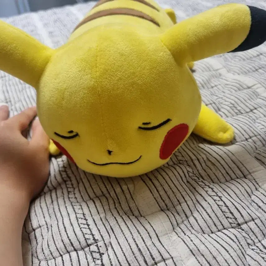[BUNJANG] Pokemon Sleeping Pikachu Plush / 포켓몬 잠자는 피카츄 인형