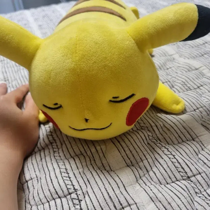 [BUNJANG] Pokemon Sleeping Pikachu Plush / 포켓몬 잠자는 피카츄 인형