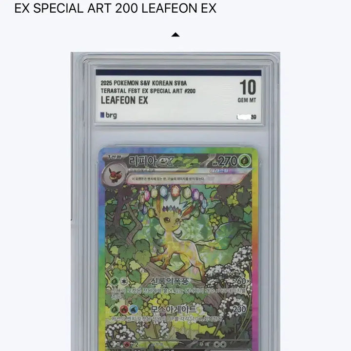 [BUNJANG] Terrastal Festa Card Set - Leafeon &amp; Glaceon / (BRG10) 테라스탈페스타 리피아,글레이시아