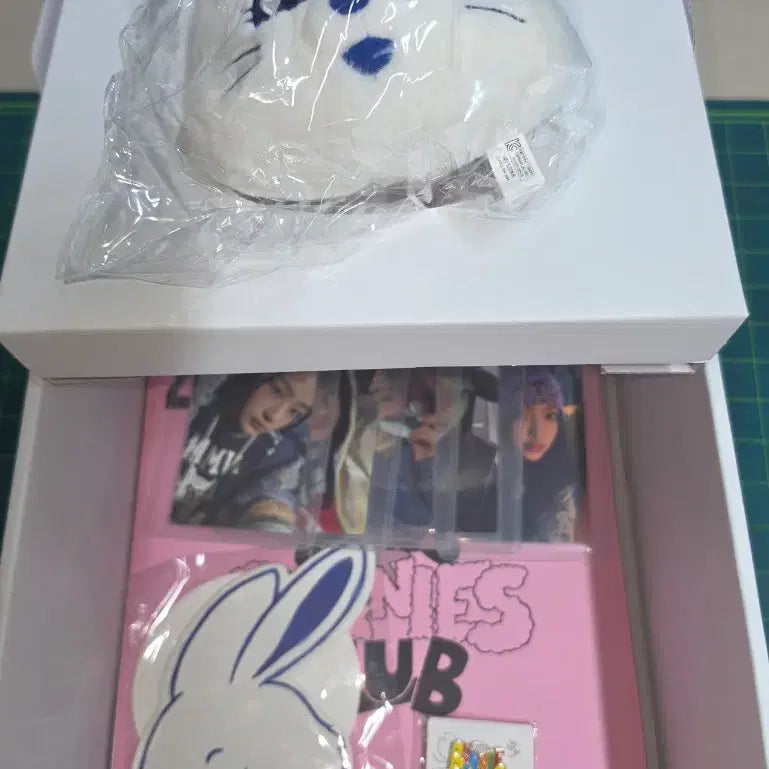 [BUNJANG] NewJeans 1st Generation Membership Kit / (마지막 가격인하)뉴진스 멤버십키트 1기