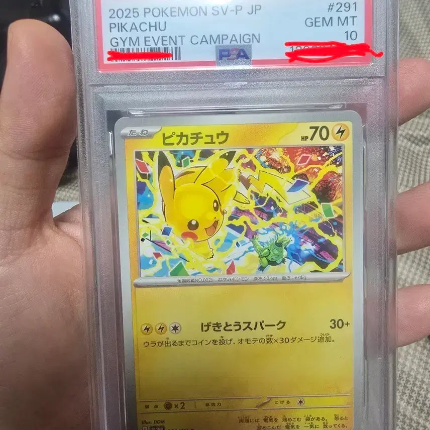 [BUNJANG] Pokemon Pikachu Promo Card SV-P 291 GEM MT 10 / 포켓몬스터 포켓몬 포켓몬카드 피카츄 프로모카드 SV-P 291