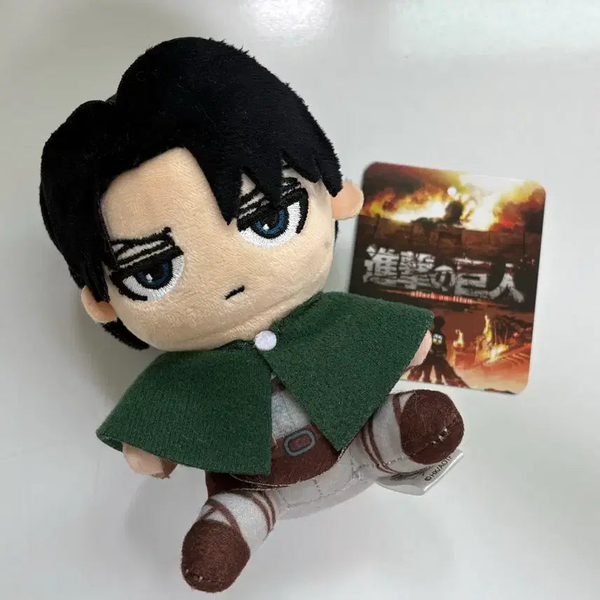 [BUNJANG] Attack on Titan Levi Ackerman Owari Nui (Sealed) / 반택포) 진격거 리바이 아커만 오스와리 누이 개봉전시 판매