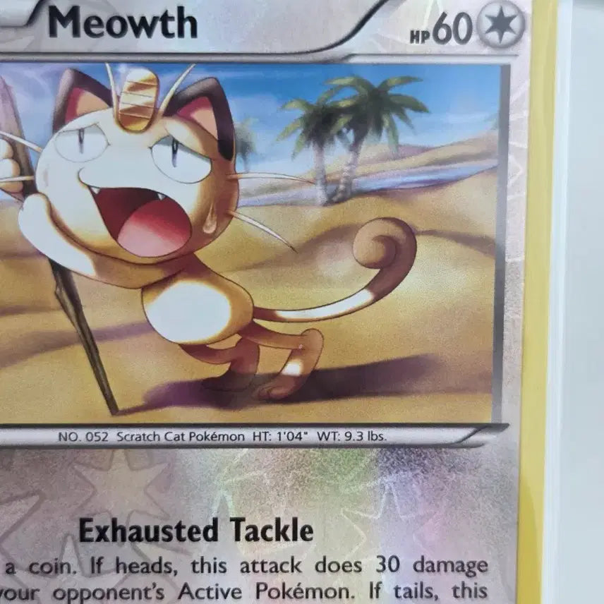 [BUNJANG] Pokemon Meowth Reverse Holo XY Series Card (Generations Pack) / [영판/영문판] 희귀매물 포켓몬 카드 나옹 (Meowth) 리버스 홀로 (XY 시리즈 53/83)