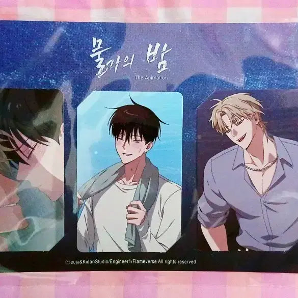 [BUNJANG] The Night of the Seagull Animation Official Limited Edition Photocard / [미개봉] 물가의 밤 애니 공식 한정굿즈 포토카드 포카