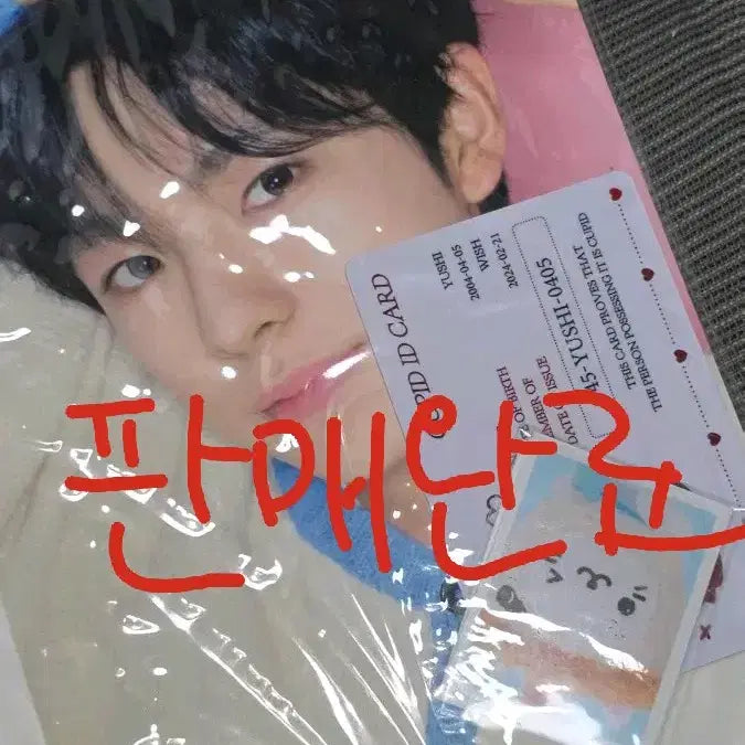 [BUNJANG] NCT WISH Yushi Steady Photo Set Bubble Cat ID Card / 엔시티 위시 스테디 포토 세트 유우시 버블냥 증사 아이디카드