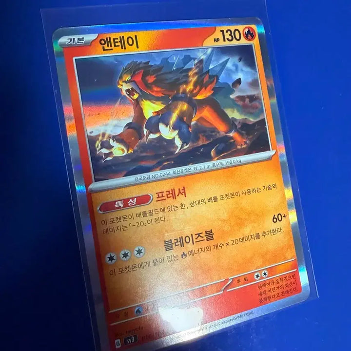 [BUNJANG] Pokemon Card Entei Holo Card / 포켓몬카드 앤테이 홀로 카드