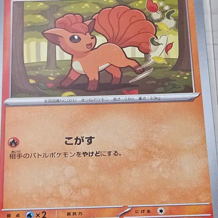 [BUNJANG] Pokemon Card Ninetales Japanese Single / 포켓몬카드 식스테일 일판