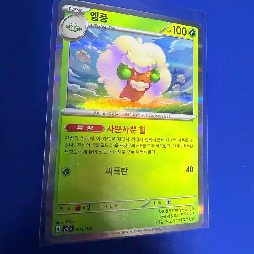[BUNJANG] Pokemon Card Elphoon Holo Card / 포켓몬카드 엘풍 홀로 카드