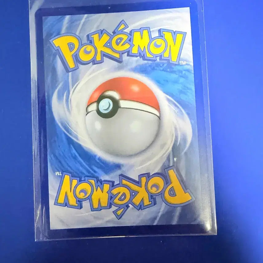 [BUNJANG] Pokemon Card Elphoon Holo Card / 포켓몬카드 엘풍 홀로 카드