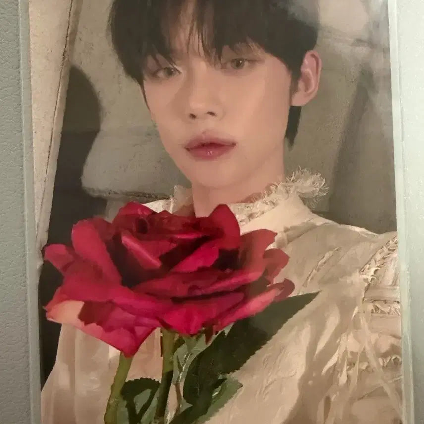 [BUNJANG] TXT Deja Vu Studio Photocard Set / 투바투 데자뷰 공방 포카 세트