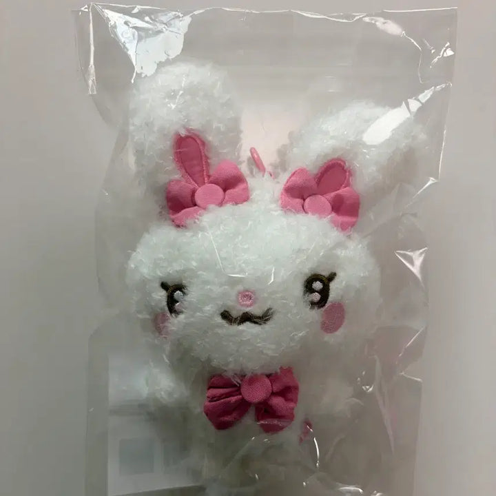 [BUNJANG] Hats to Hearts Torami Yuha Doll / 하츠투하츠 인형 토라뮈 유하